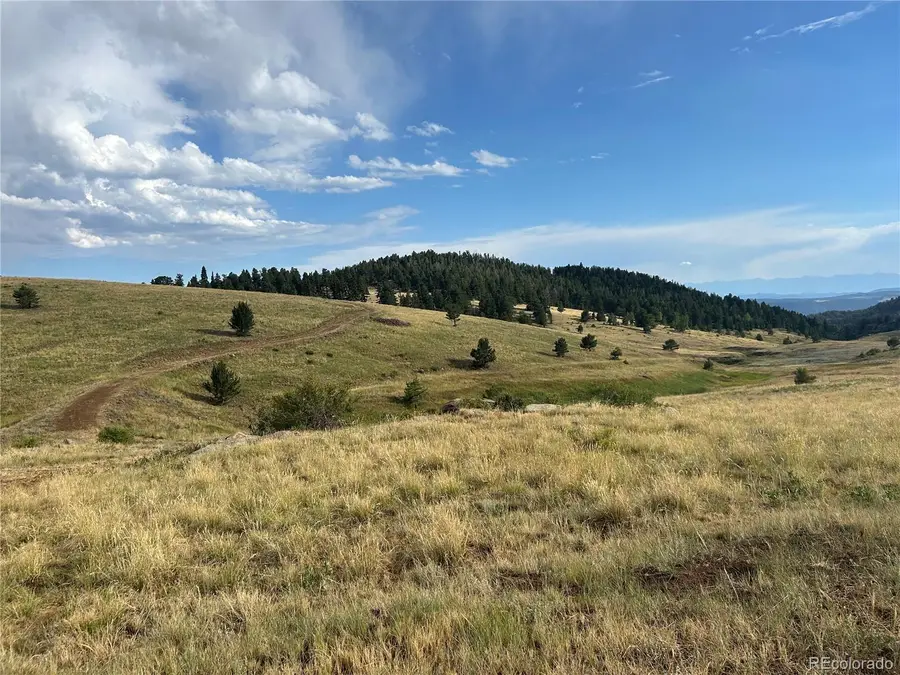 1100 Grumpy Burro View, Cripple Creek, CO 80863 - #3