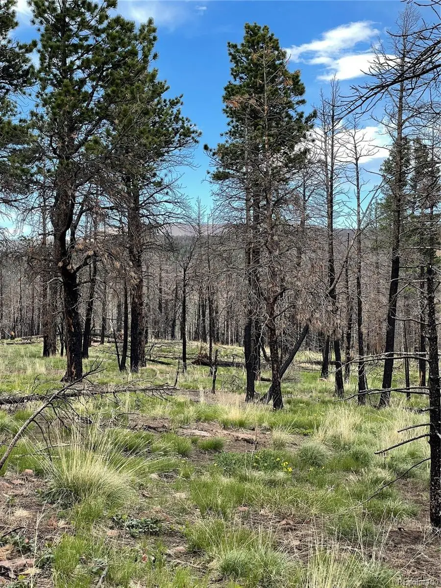 533 Leslie Loop, Fort Garland, CO 81133 - Image #2