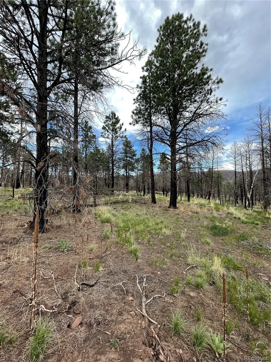 533 Leslie Loop, Fort Garland, CO 81133 - Image #3