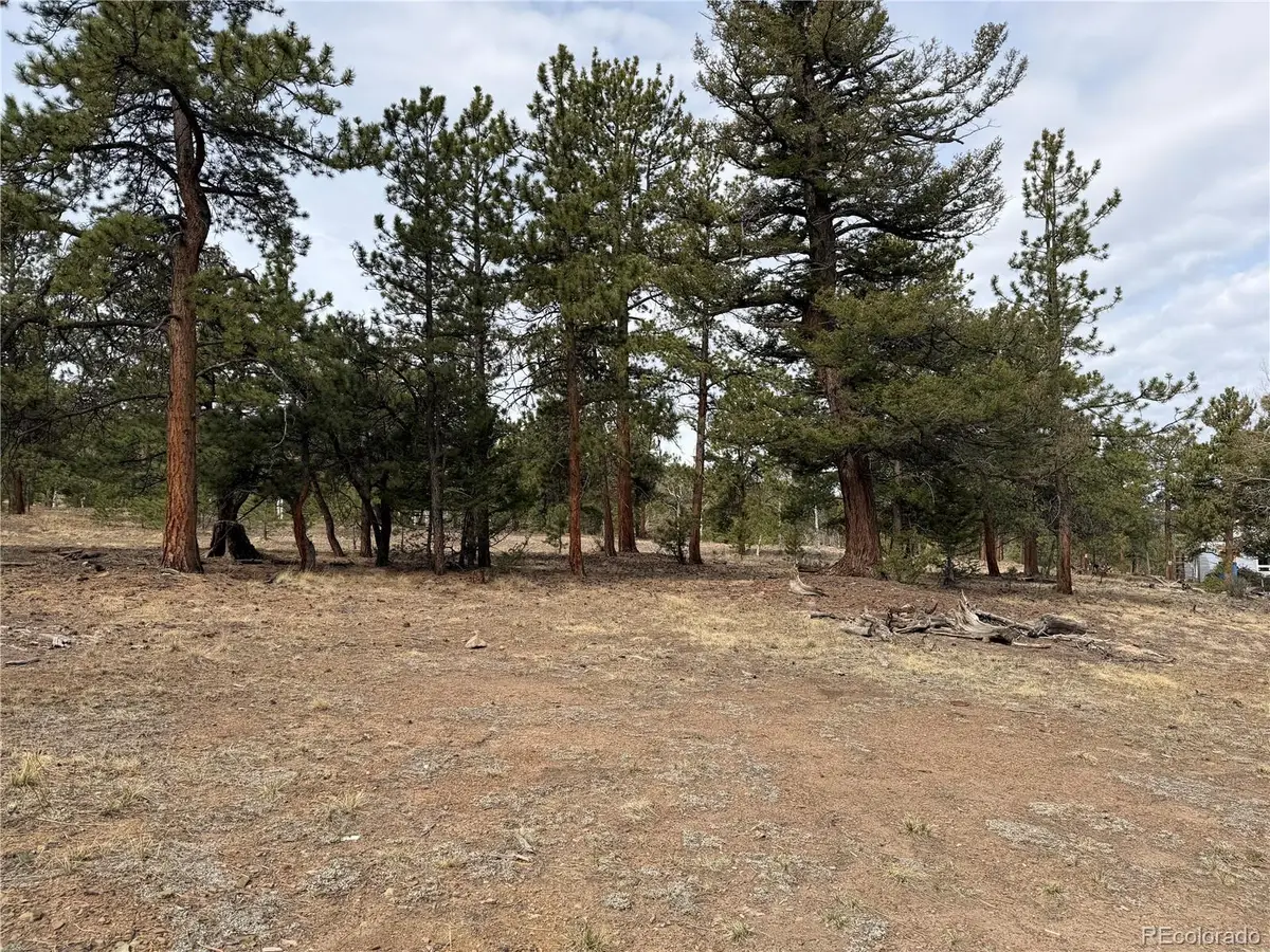 Chubb Court, Buena Vista, CO 81211 - #1