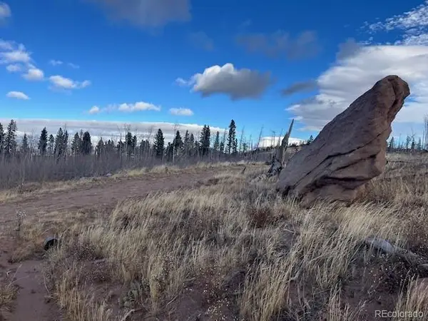 Lot 2544 Petito Drive, Fort Garland, CO 81133