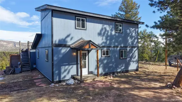 195 Doe Circle, Bailey, CO 80421