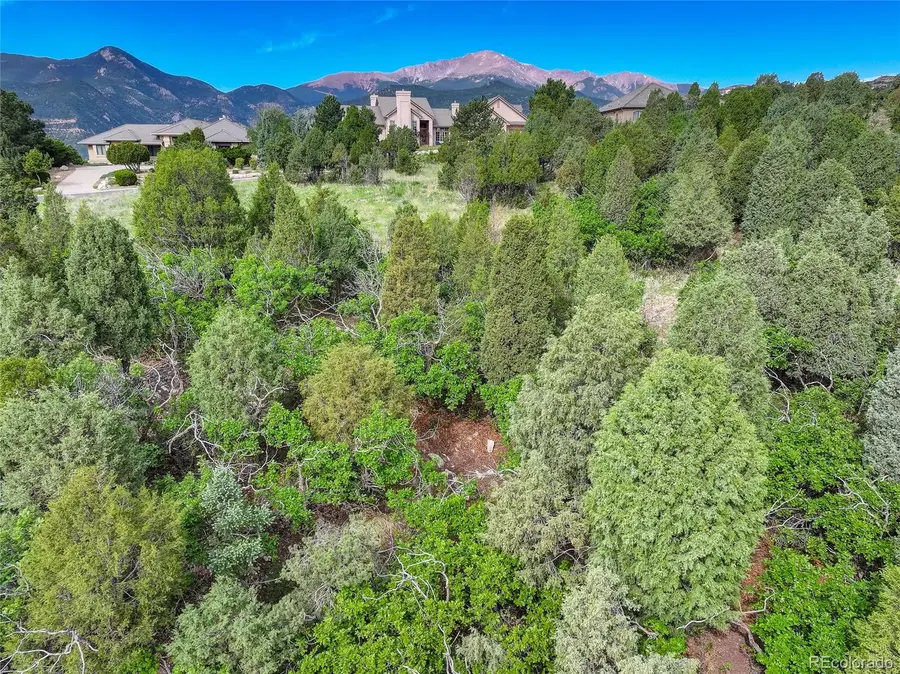 3585 Twisted Oak Circle, Colorado Springs, CO 80904 - #2