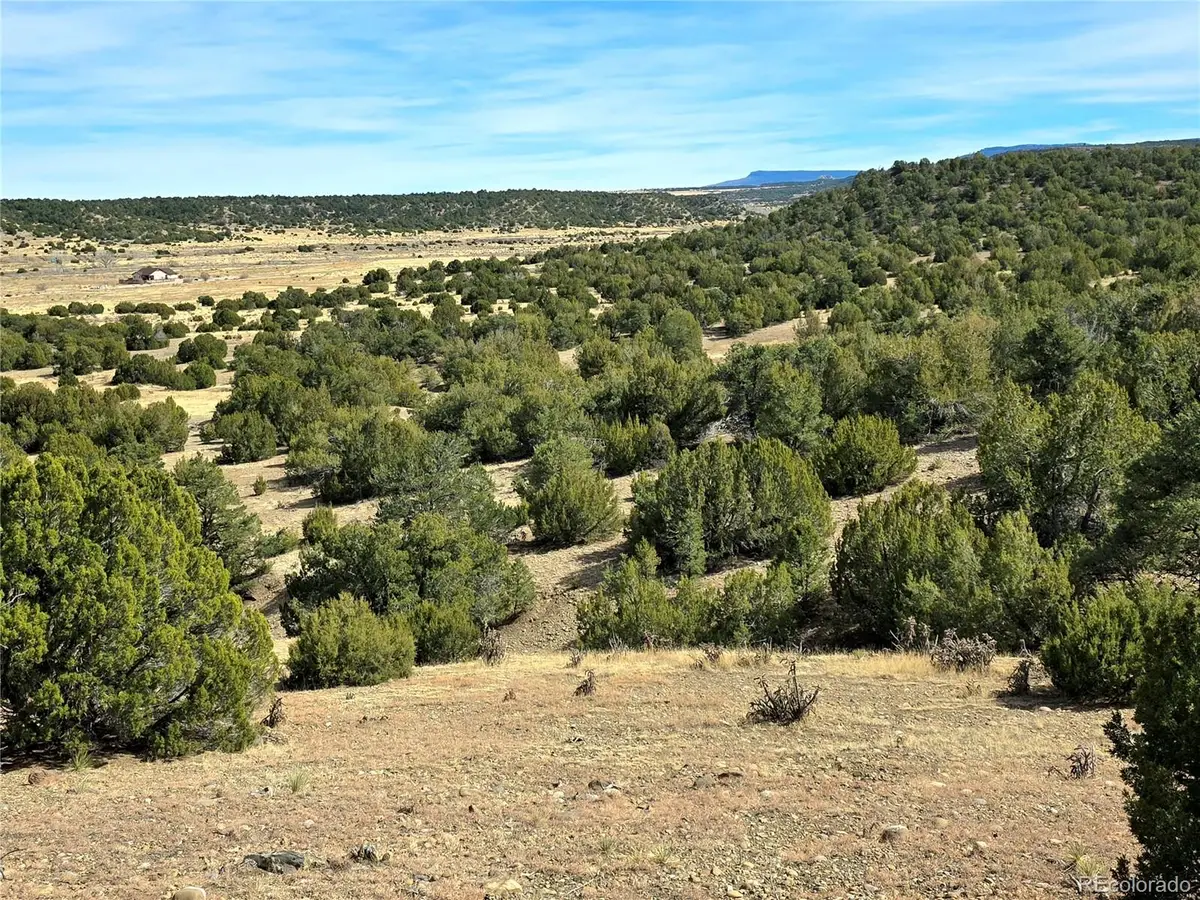 Lot 21 of 13565 Bat Masterson Drive, Trinidad, CO 81082 - #1