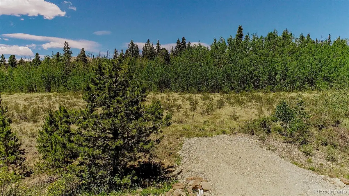 515 Wild Rye Road, Fairplay, CO 80440 - #1