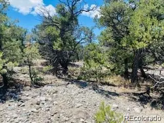 65 Mill Run, Alamosa, CO 81101 - #3