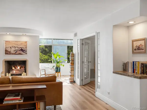 1313 N Williams Street #503, Denver, CO 80218