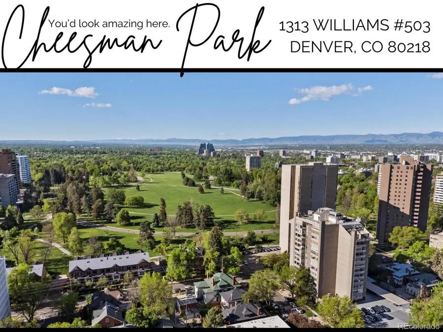 1313 N Williams Street #503, Denver, CO 80218 - #2