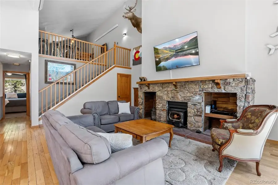1233 Baldy Road, Breckenridge, CO 80424 - #3