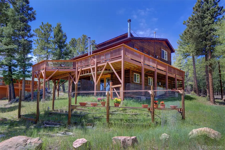 33508 Persistence Avenue, Pine, CO 80470 - #2