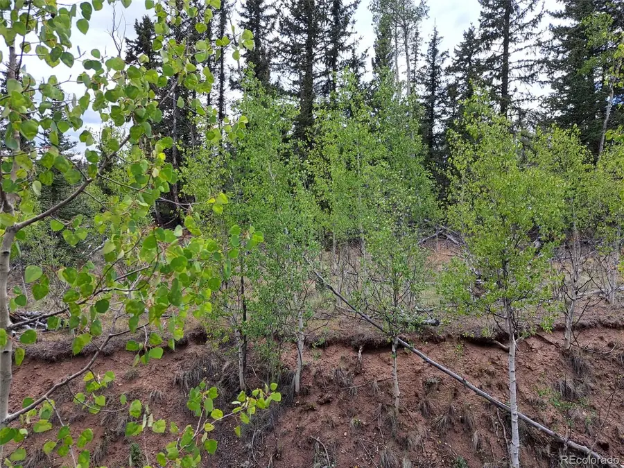 6206 Remington Road, Como, CO 80432 - #2
