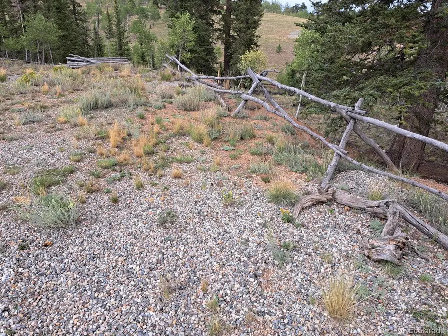 6206 Remington Road, Como, CO 80432 - #3