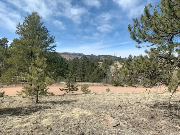 173 Crescent Drive, Florissant, CO 80816