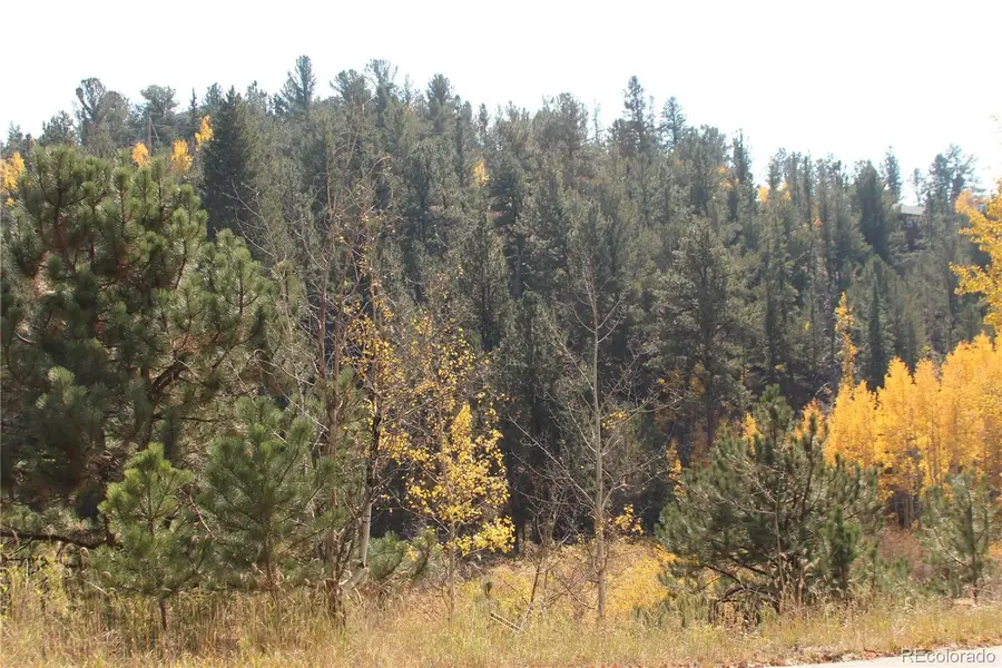 2012 Shelton Drive, Bailey, CO 80421 - #3