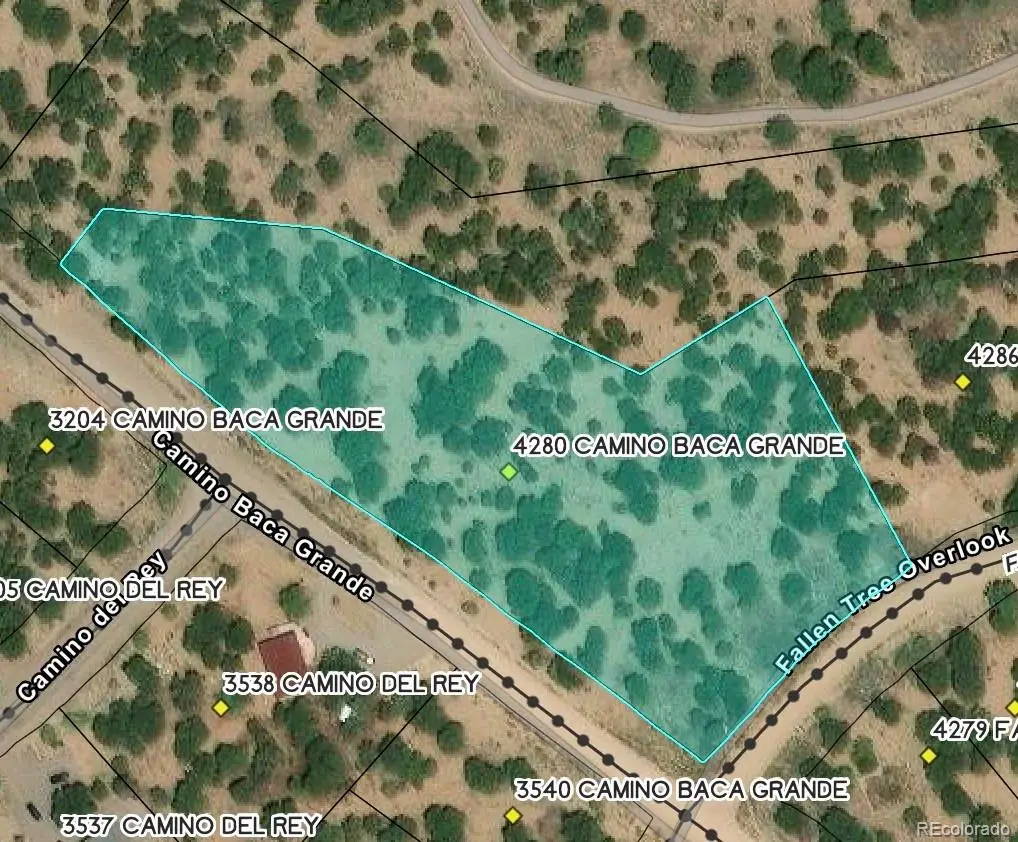 4280 Camino Baca Grande, Crestone, CO 81131 - #1