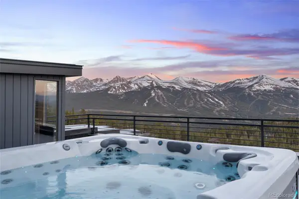 316 N Fuller Placer Road, Breckenridge, CO 80424