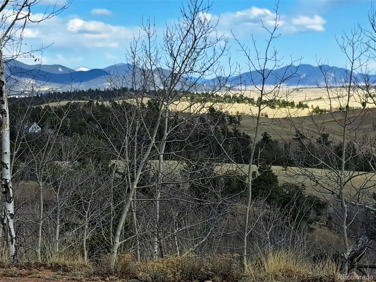 908 Raven Way, Como, CO 80432 - #1