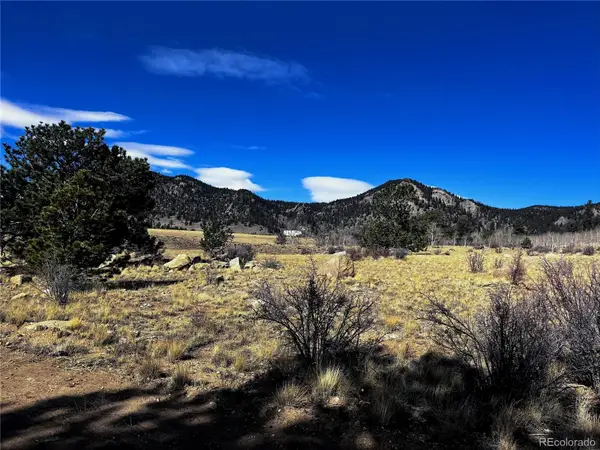 1975 Garfield Road, Lake George, CO 80827