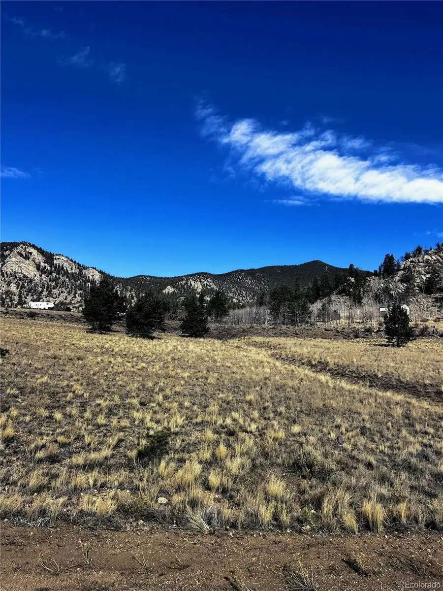 1975 Garfield Road, Lake George, CO 80827 - Image #3