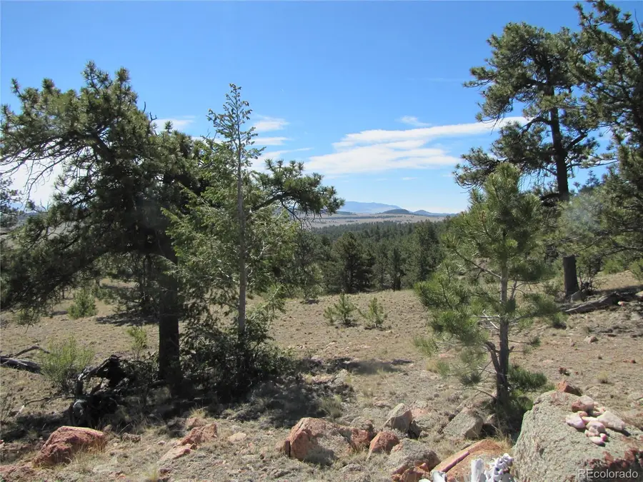 Lot 5085 Ouray Road, Hartsel, CO 80449 - #3