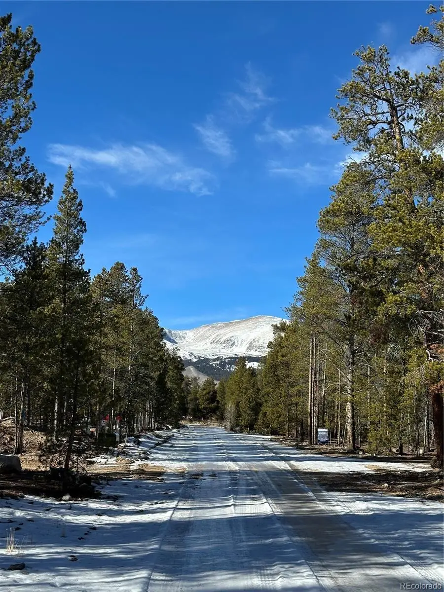 361 Fir Drive, Twin Lakes, CO 81251 - Image #3