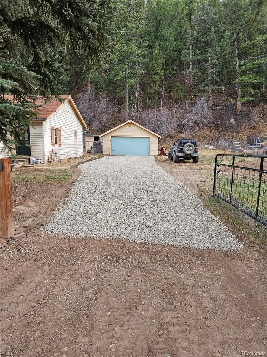124 River Drive, Bailey, CO 80421 - #1