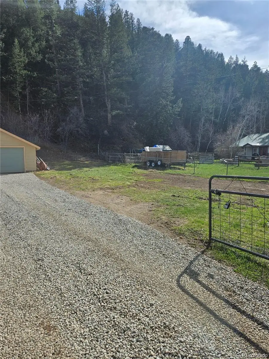 124 River Drive, Bailey, CO 80421 - #3