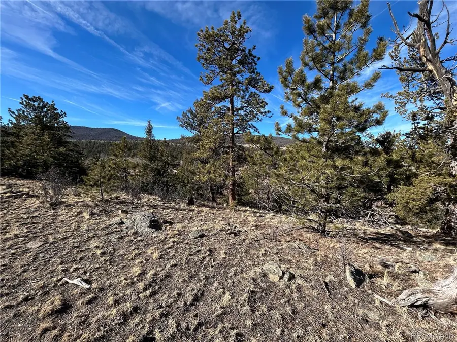 3430 Singletree Road, Hartsel, CO 80449 - #2