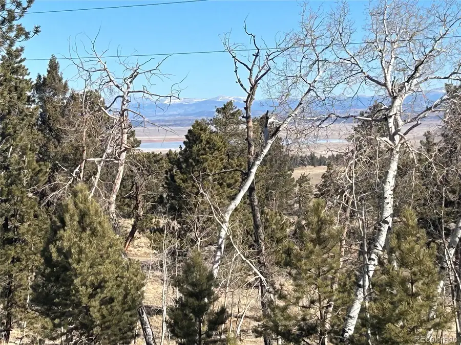 3430 Singletree Road, Hartsel, CO 80449 - #3