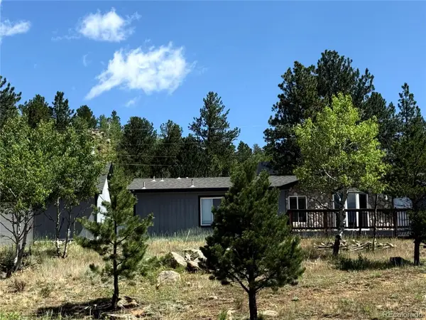 364 Stage Coach Drive, Bailey, CO 80421