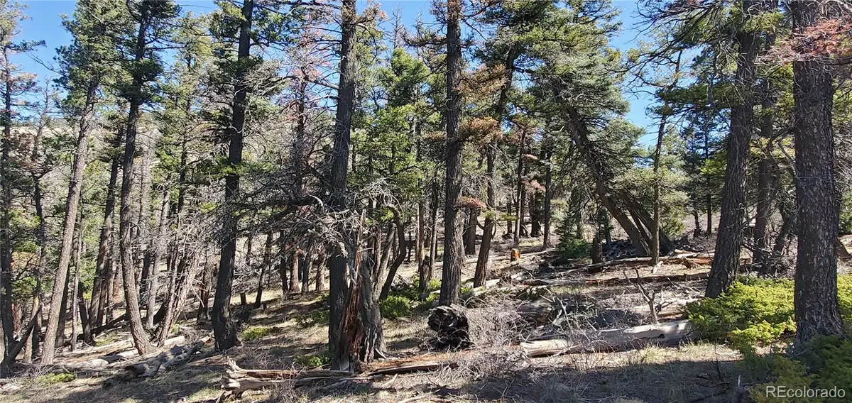 Lot 5802 Tagge Road, San Luis, CO 81152 - #1