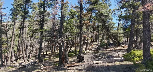 Lot 5802 Tagge Road, San Luis, CO 81152