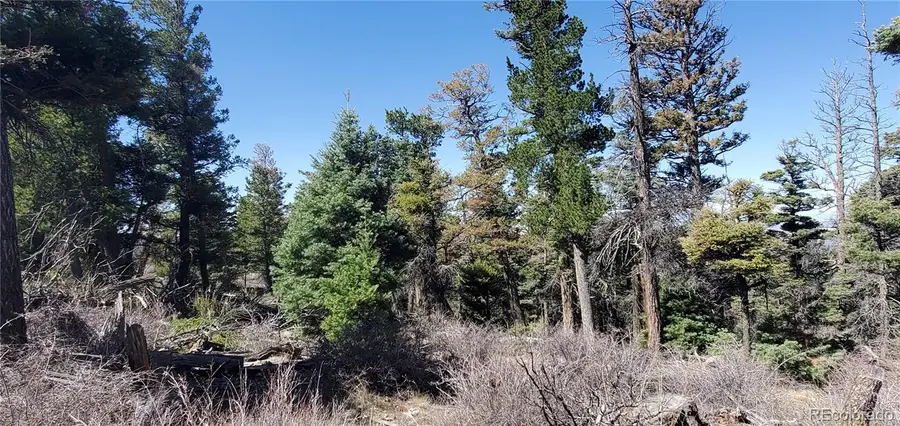 Lot 5802 Tagge Road, San Luis, CO 81152 - #3