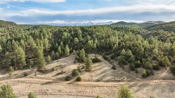 48 Alex Court, Cotopaxi, CO 81223
