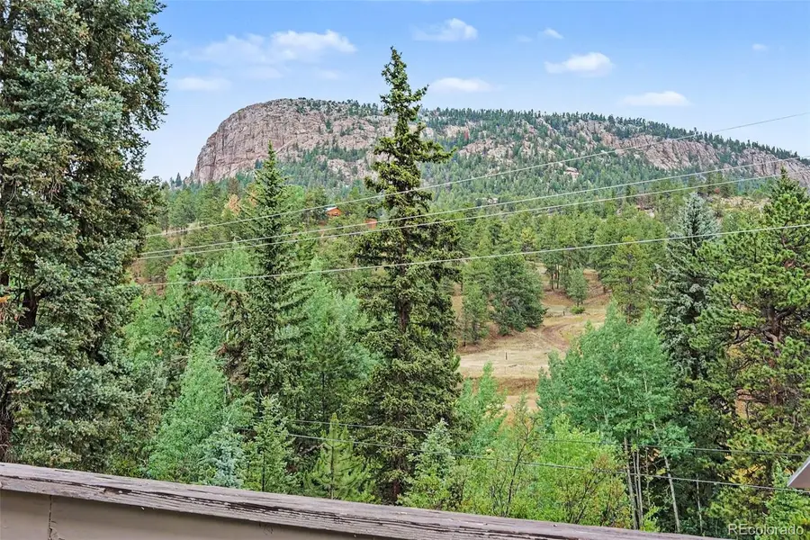 809 Roland Drive, Bailey, CO 80421 - #2