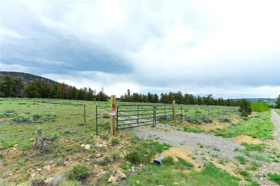 2662 Willow Creek Lane, Fairplay, CO 80440 - #3