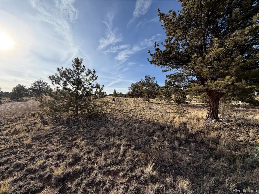 Mesa Avenue, Hartsel, CO 80449 - #3