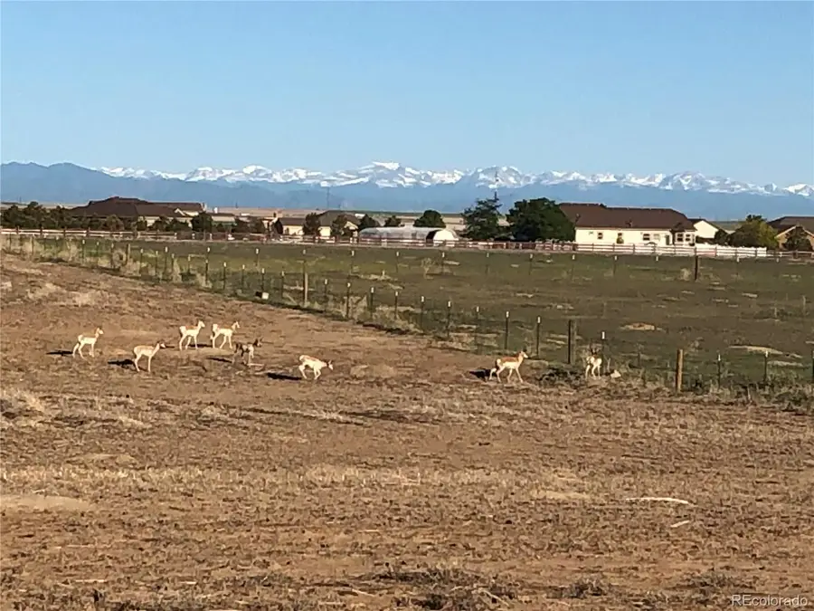 34623 E 10th Drive, Watkins, CO 80137 - #3