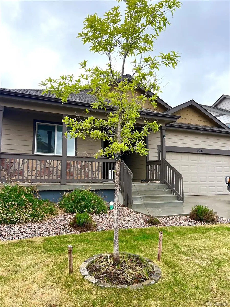 2366 Blissful Lane, Windsor, CO 80550 - #1