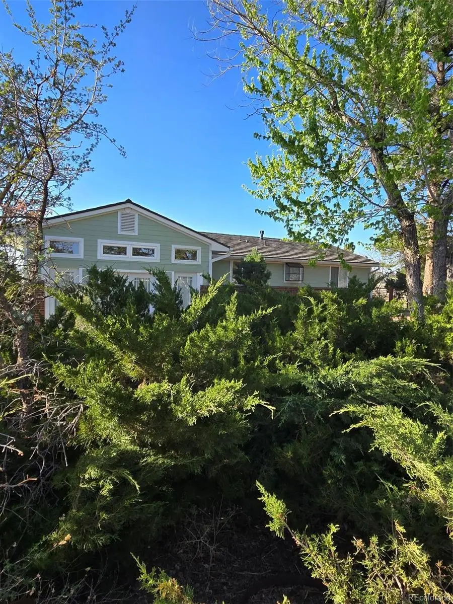 6699 Ponderosa Drive, Parker, CO 80138 - #1
