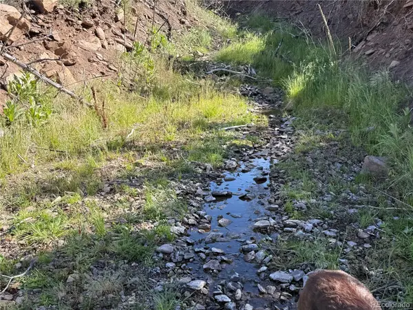 Lot 377 Powers Road, Fort Garland, CO 81133