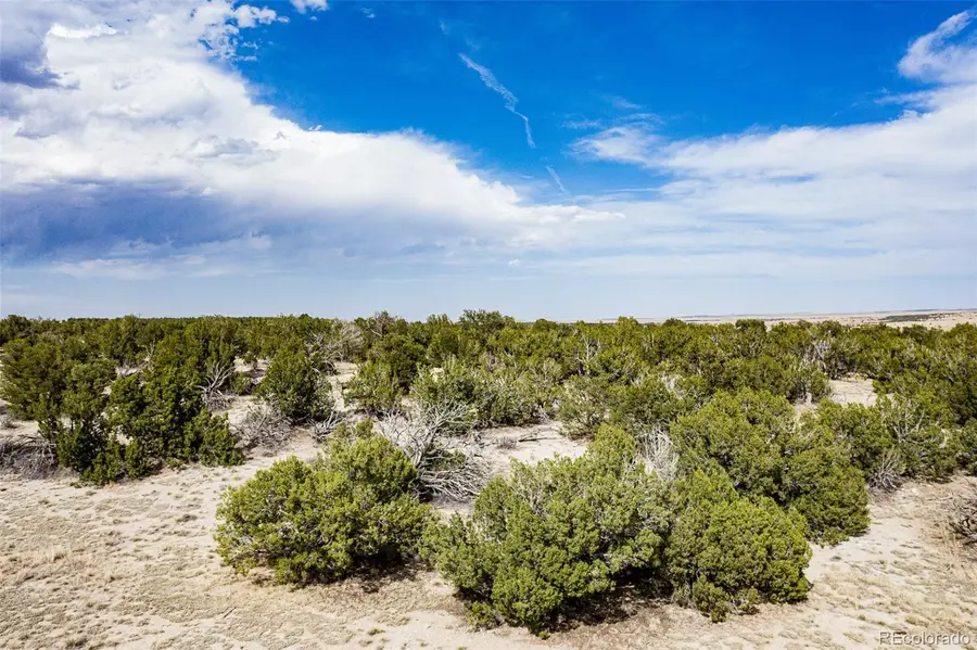 241 Morning Star Road, Rye, CO 81069 - #3
