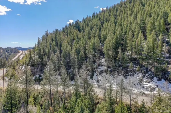 00 Saddleback, Evergreen, CO 80439