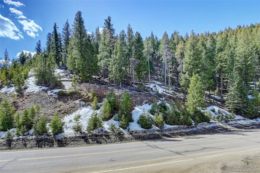 00 Saddleback, Evergreen, CO 80439 - #2