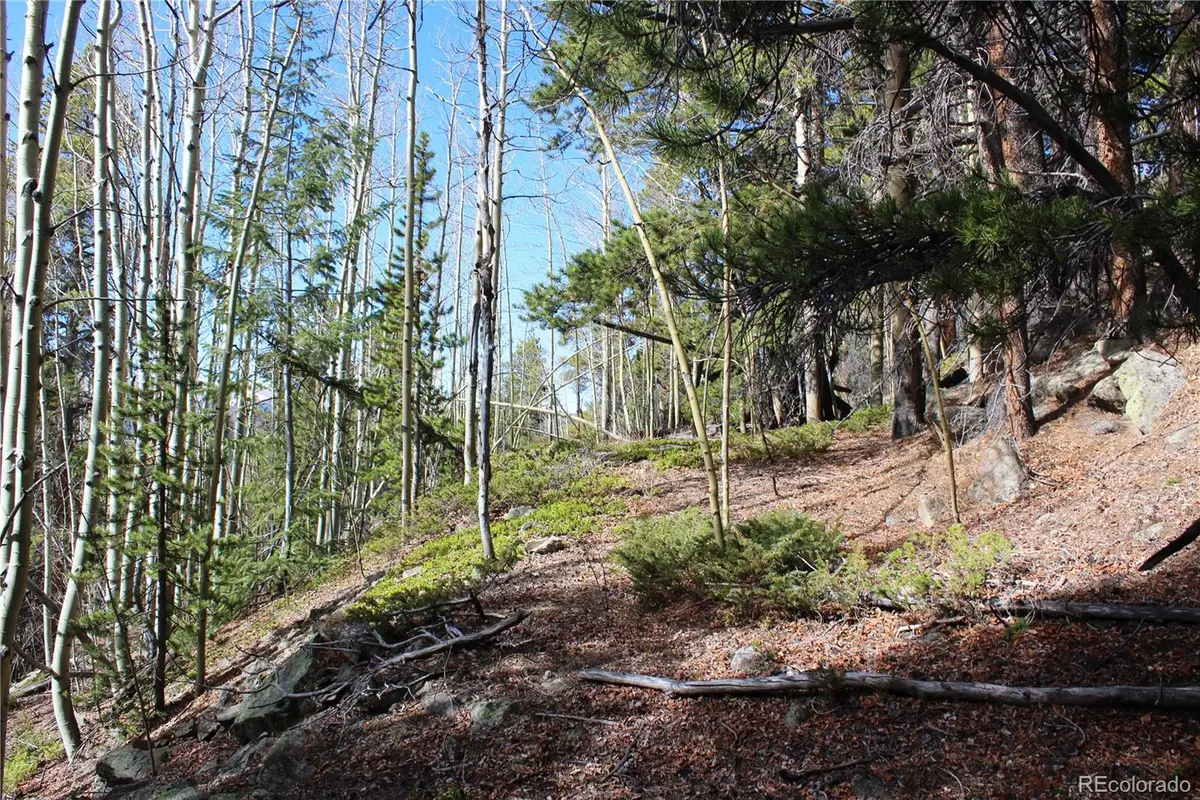 4-2 Lamertine Road, Idaho Springs, CO 80452 - #1