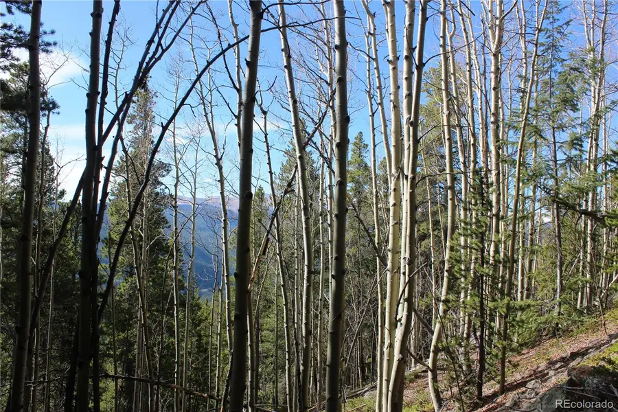 4-2 Lamertine Road, Idaho Springs, CO 80452 - #3