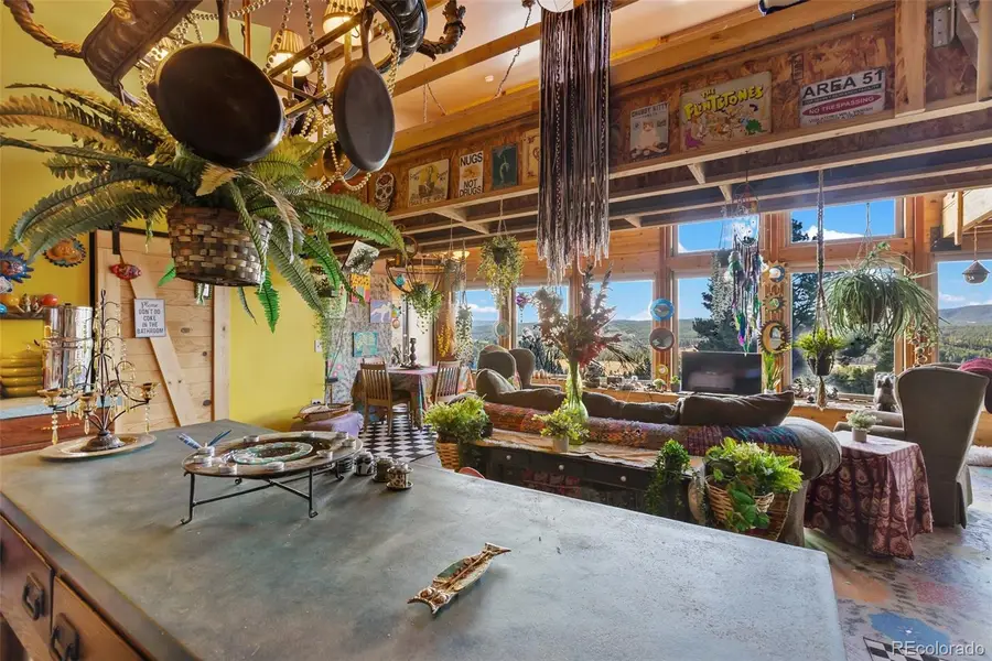 784 Crestridge Road, Florissant, CO 80816 - Image #3