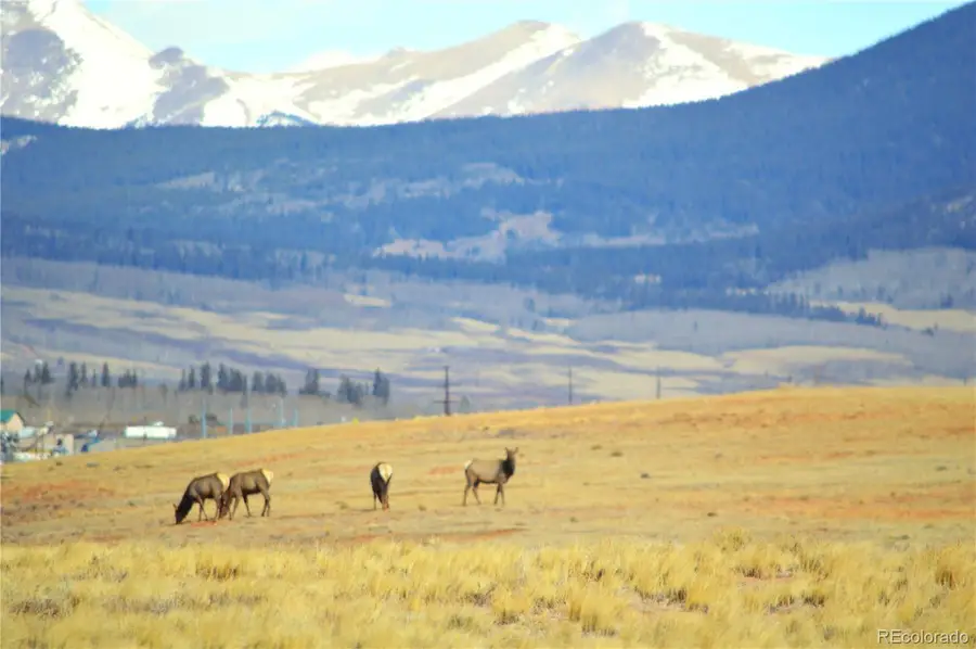 20400 Us-285, Fairplay, CO 80440 - #2