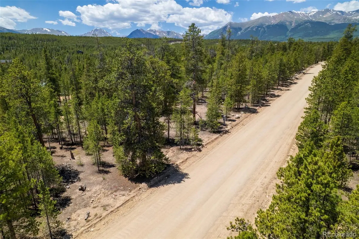 294 Peak View Drive, Twin Lakes, CO 80461 - #1