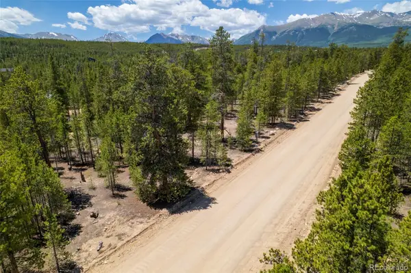 294 Peak View Drive, Twin Lakes, CO 80461
